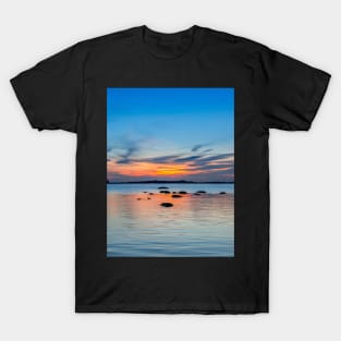 Summer Means Swimming T-Shirt